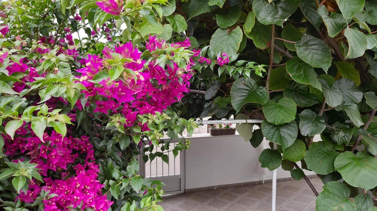 Studio Apartman Kornelija Lumbarda Zewnętrze zdjęcie