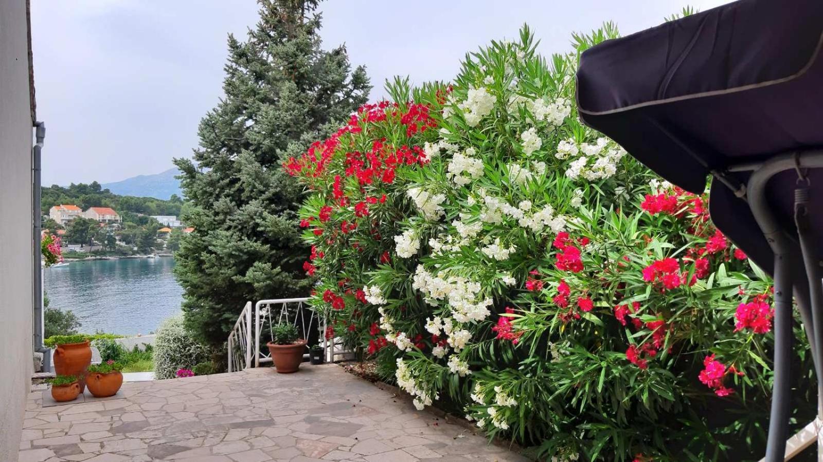 Studio Apartman Kornelija Lumbarda Zewnętrze zdjęcie